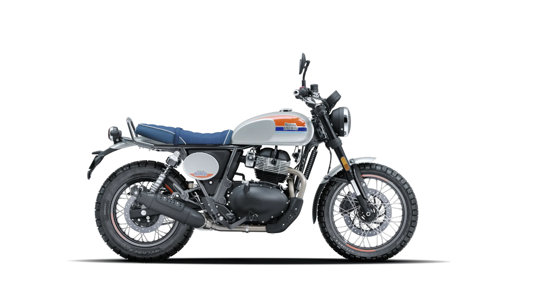 Bear 650 - Boardwalk White - 1