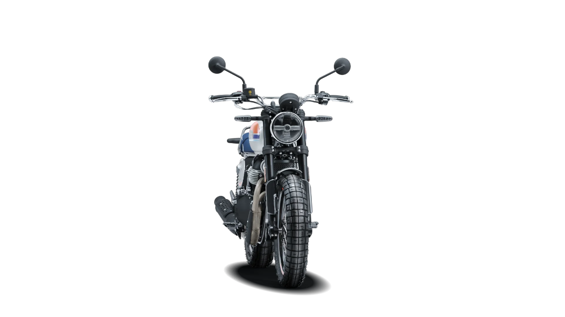 Bear 650 - Boardwalk White - 3