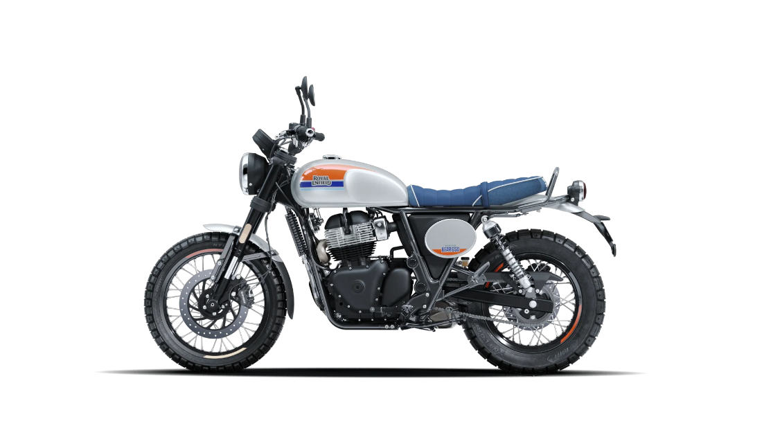 Bear 650 - Boardwalk White - 5