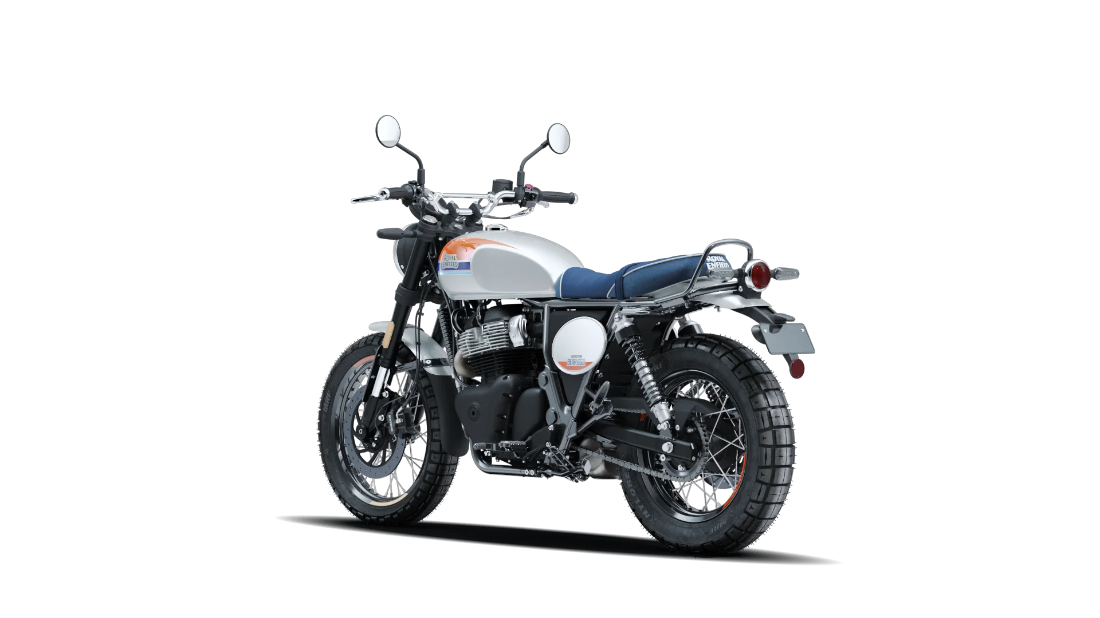 Bear 650 - Boardwalk White - 6