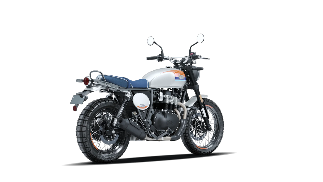 Bear 650 - Boardwalk White - 8