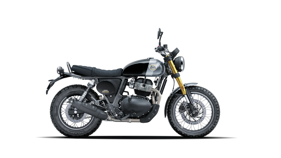 Bear 650 - Golden Shadow Black - 1