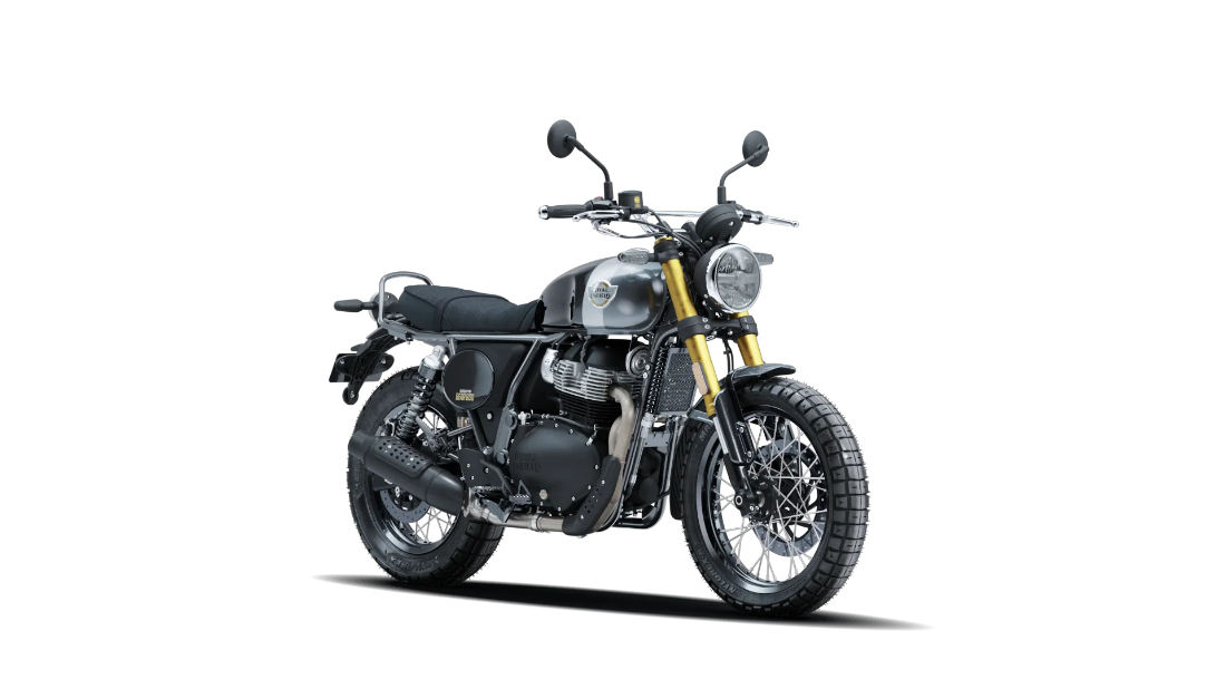 Bear 650 - Golden Shadow Black - 2