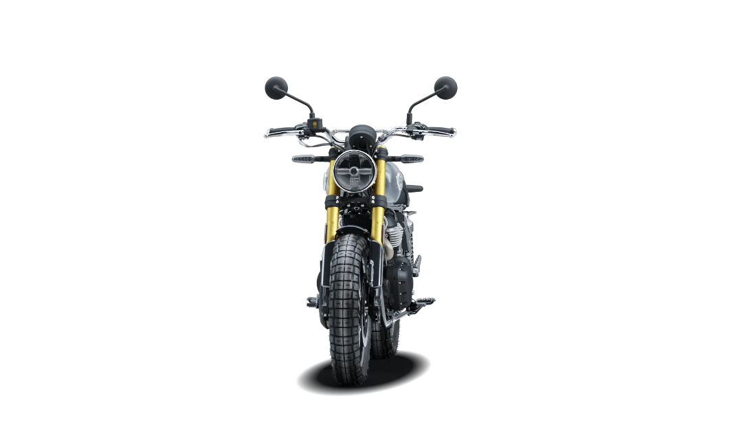 Bear 650 - Golden Shadow Black - 3