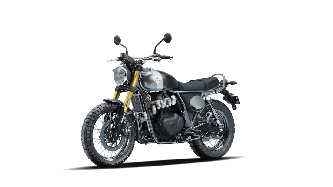 Bear 650 - Golden Shadow Black - 4