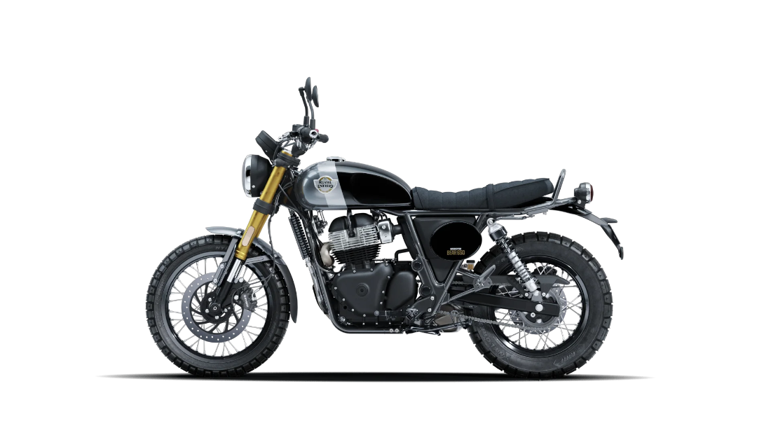 Bear 650 - Golden Shadow Black - 5