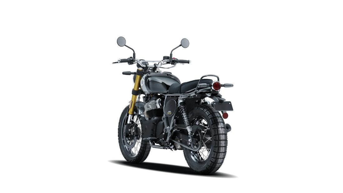 Bear 650 - Golden Shadow Black - 6