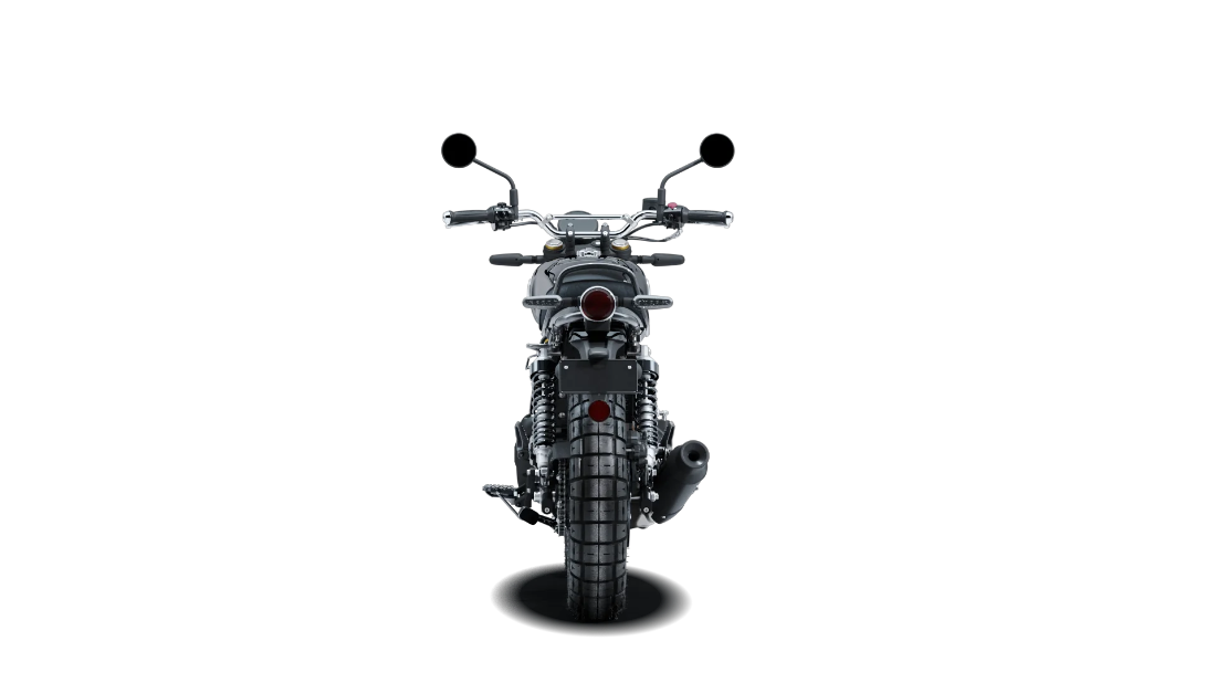 Bear 650 - Golden Shadow Black - 7