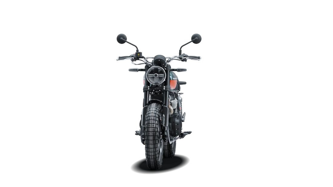 Bear 650 - Petrol Green - 3