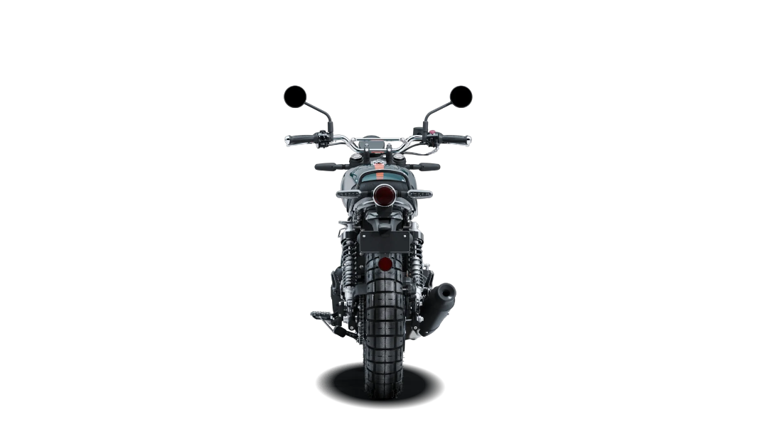 Bear 650 - Petrol Green - 7