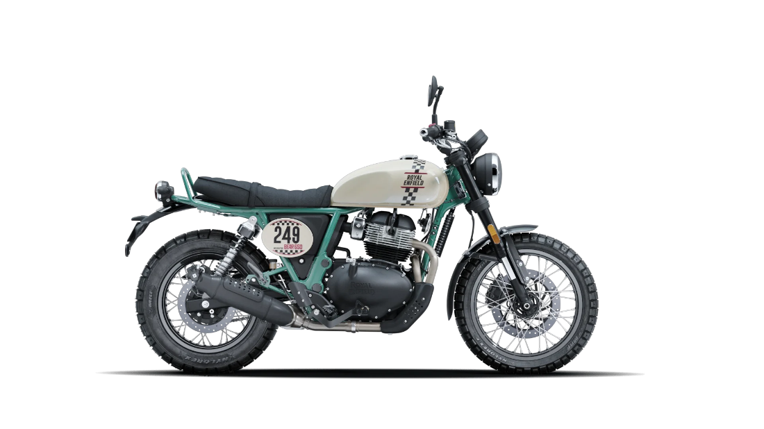 Bear 650 - White 249 - 1