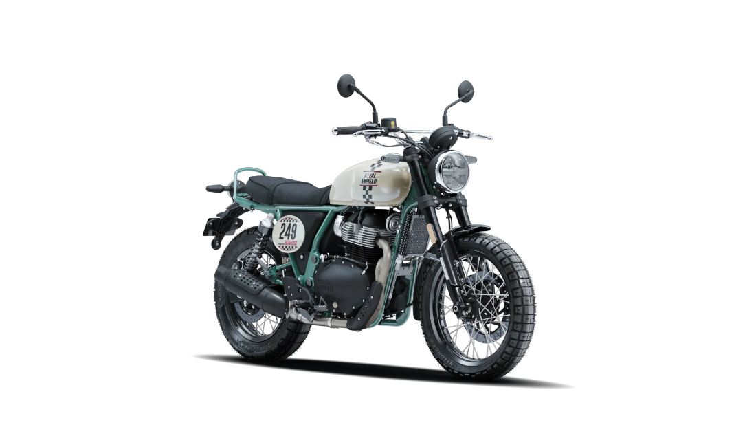 Bear 650 - White 249 - 2