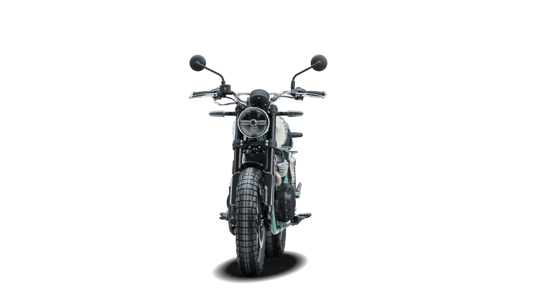 Bear 650 - White 249 - 3