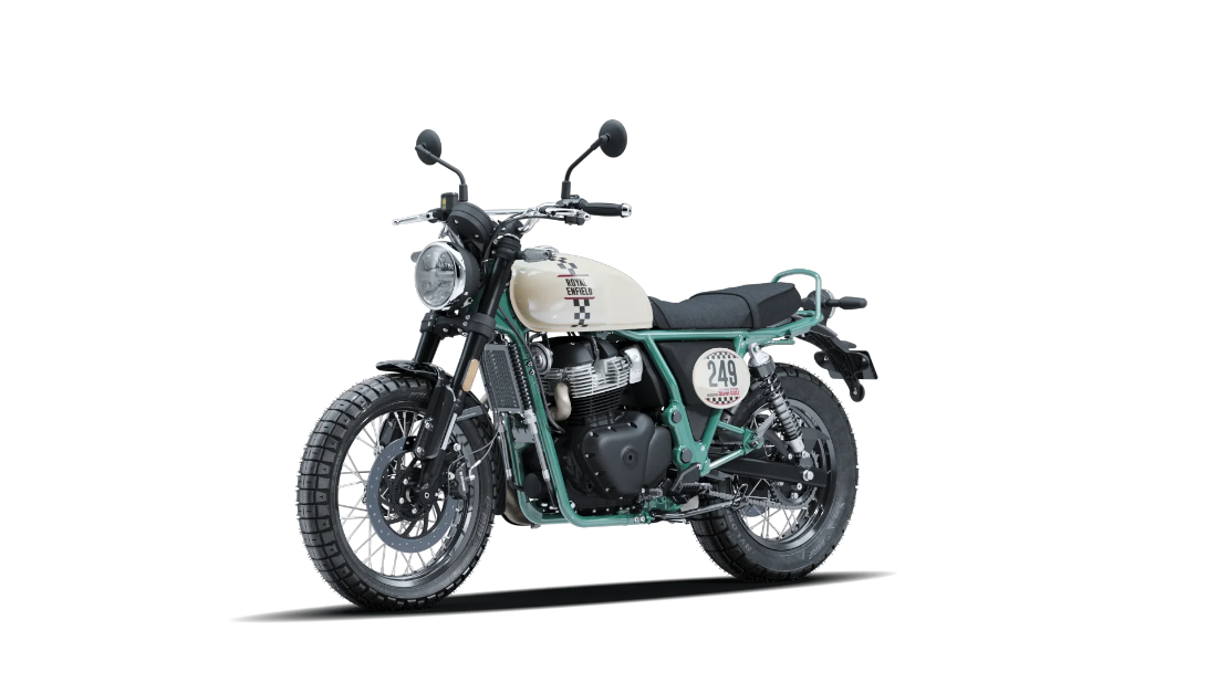 Bear 650 - White 249 - 4