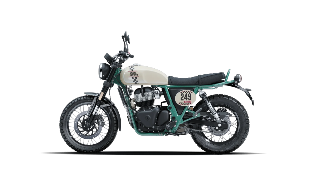 Bear 650 - White 249 - 5