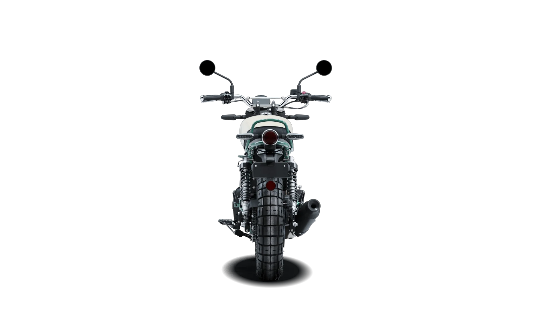 Bear 650 - White 249 - 7