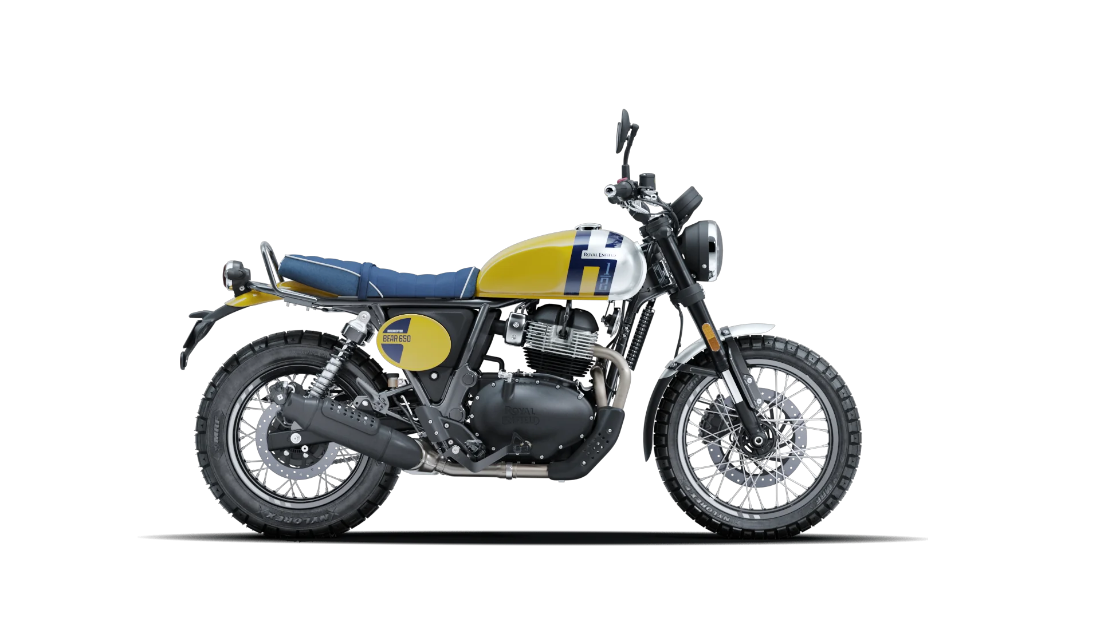 Bear 650 - Wild Honey - 1