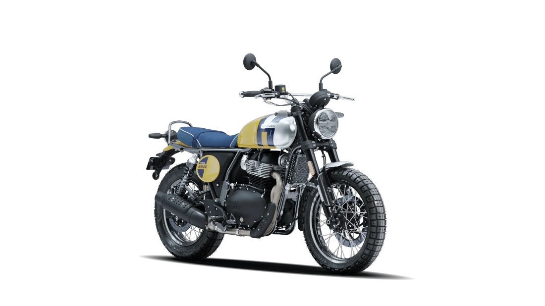 Bear 650 - Wild Honey - 2