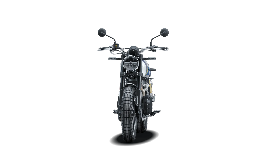 Bear 650 - Wild Honey - 3