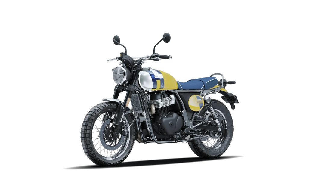 Bear 650 - Wild Honey - 4