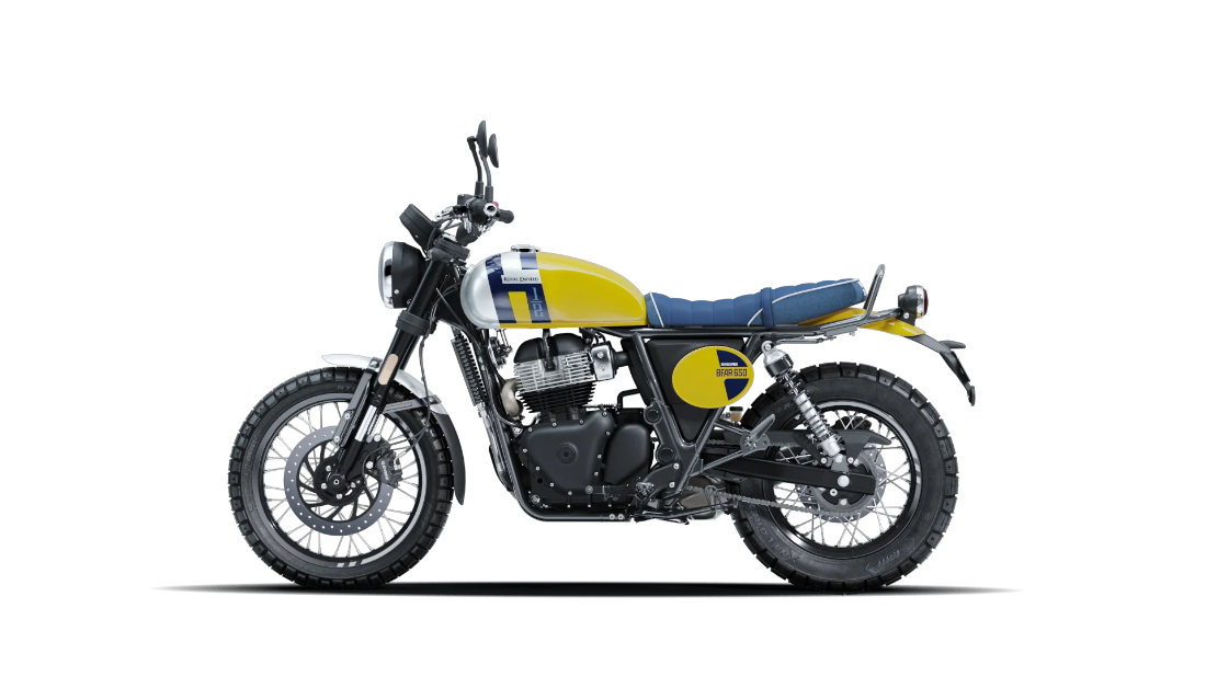 Bear 650 - Wild Honey - 5