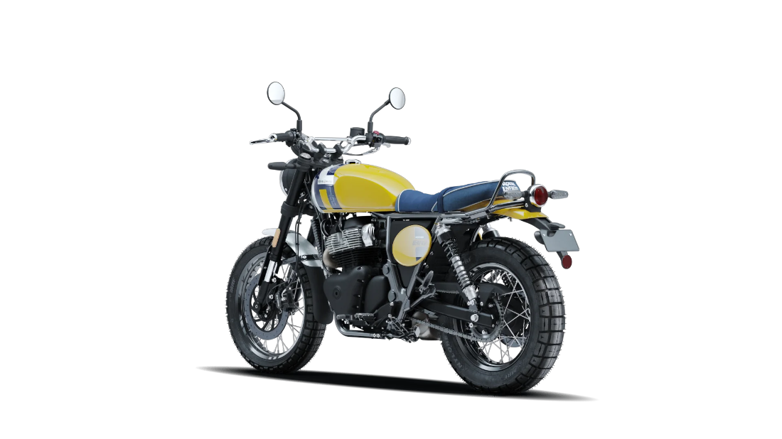 Bear 650 - Wild Honey - 6