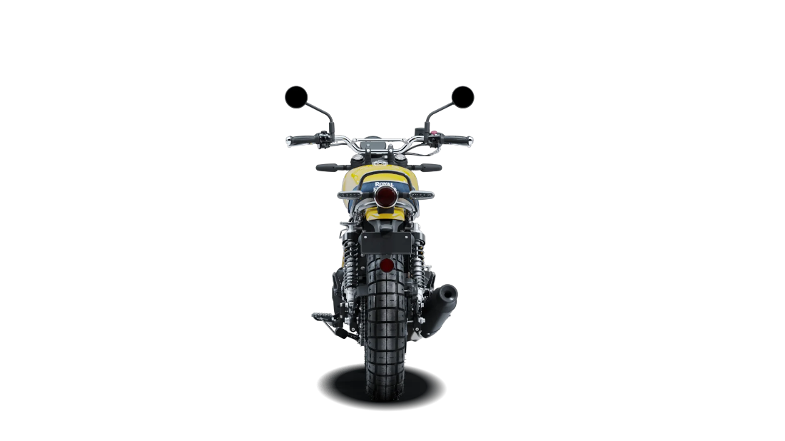 Bear 650 - Wild Honey - 7