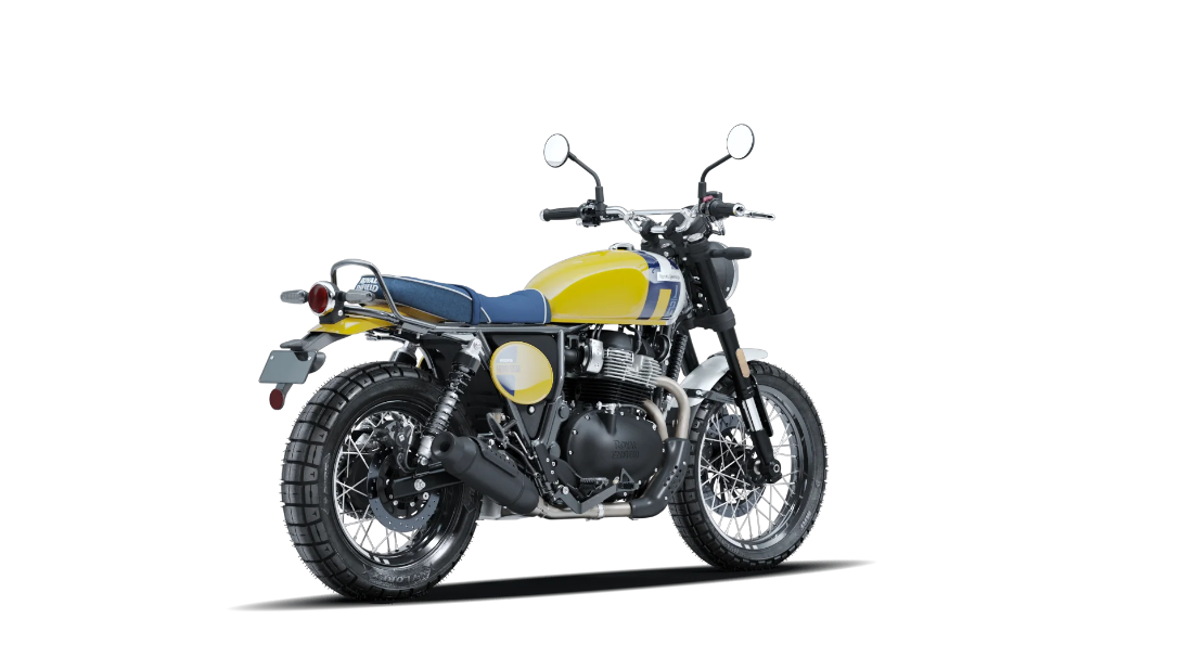 Bear 650 - Wild Honey - 8